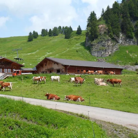 La Marmotte 1800m * Ollon